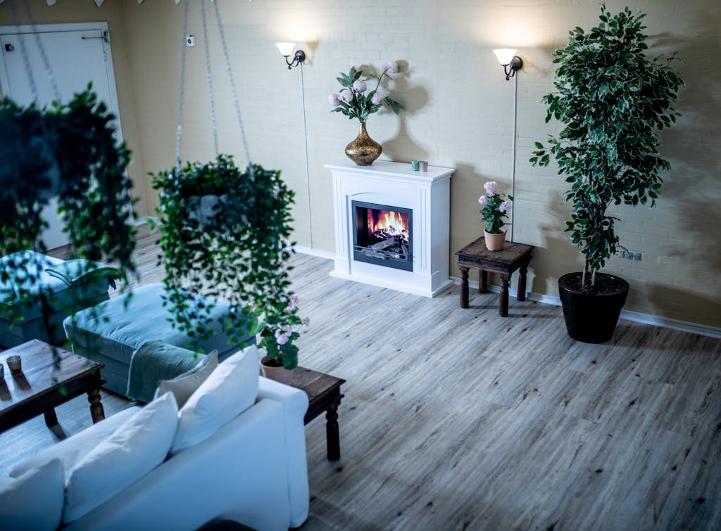 From above of interior of modern lounge with fireplace and various houseplants in flowerpots